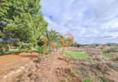 Finca rústica en venda a la España, Partaloa, ref.: TR408299 foto