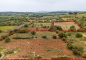 Casa amb terreny en venda a la España, Sant Llorenç des Cardassar, ref.: TR280645 foto