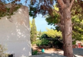 Detached villa with land for sale on España, Dénia, ref: TR333806 photo