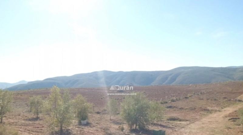 Málaga - Benaoján - 1800m2