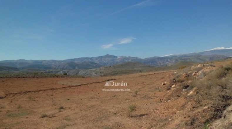 Málaga - Benaoján - 1800m2
