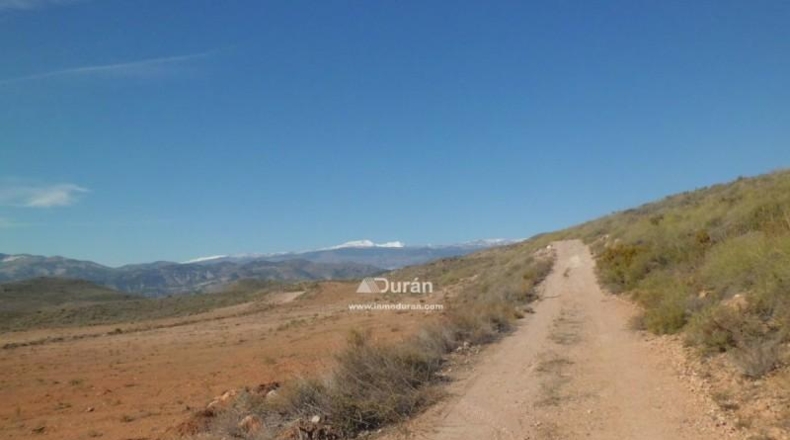 Málaga - Benaoján - 1800m2