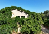 Country house with land for sale on España, Tossa de Mar, ref: TR326190 photo
