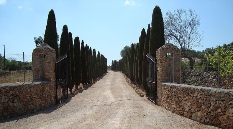 Islas Baleares - Sencelles - 20719m2