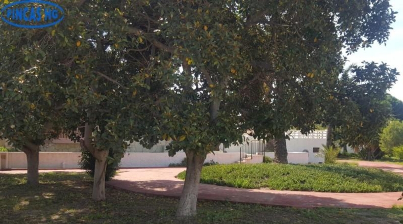 Alicante - Alicante - 4500m2