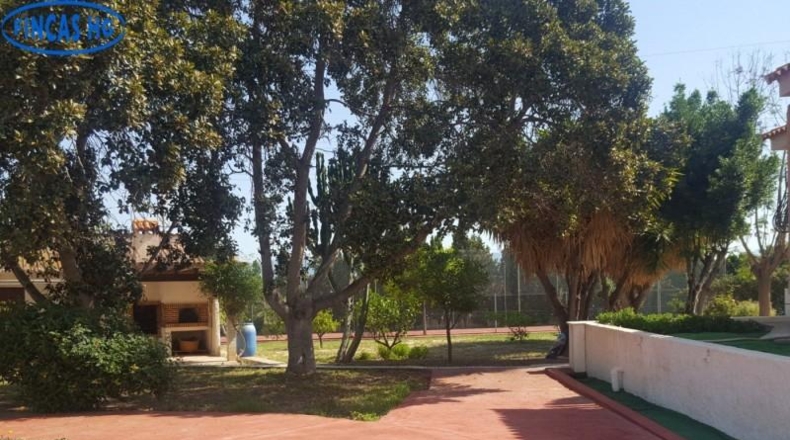 Alicante - Alicante - 4500m2