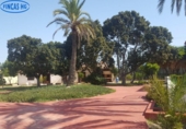 Xalet independent amb terreny en venda a la España, Alacant, ref.: TR135008 foto