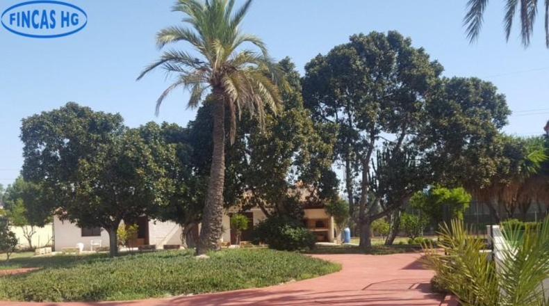 Alicante - Alicante - 4500m2