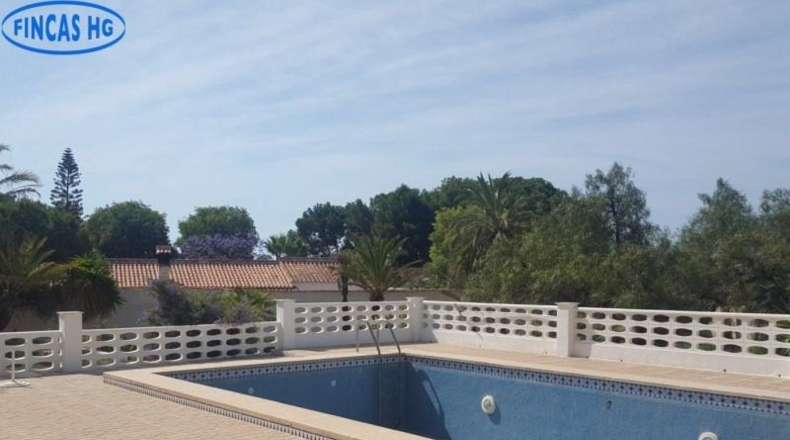 Alicante - Alicante - 4500m2