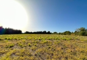 Xalet independent amb terreny en venda a la España, els Poblets, ref.: TR317742 foto