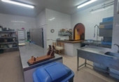 Chalet independiente con terreno en venta en la España, El Ejido, ref: TR142599 foto