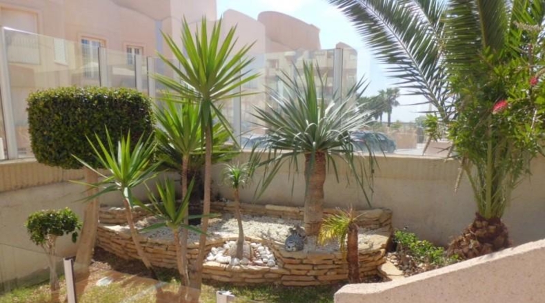 Almería - Almerimar - 560m2