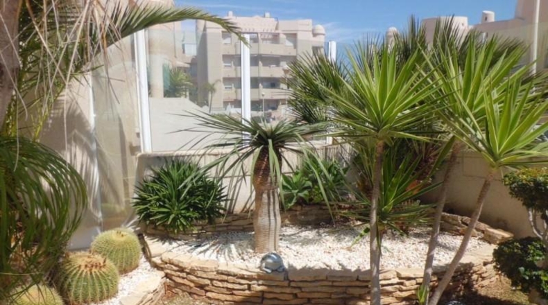 Almería - Almerimar - 560m2