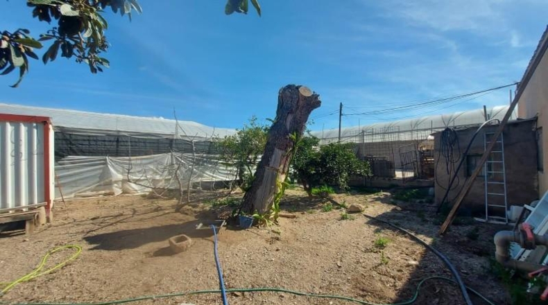 Almeria - Vícar - 18720m2