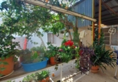 Terreny no urbanitzable en venda a la España, Puebla de Vícar, ref.: TR228218 foto