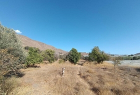 Foto 19