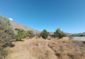 Sòl urbà en venda a la España, Berja, ref.: TR339509 foto