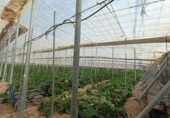 Sòl urbà en venda a la España, Berja, ref.: TR339509 foto