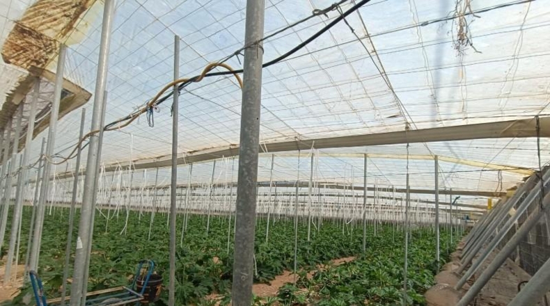 Almería - Берха - 20100m2