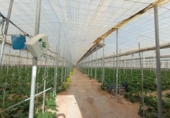Sòl urbà en venda a la España, Berja, ref.: TR339509 foto