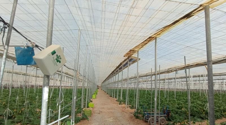 Almería - Берха - 20100m2