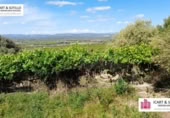 Xalet independent amb terreny en venda a la España, Vinaròs, ref.: TR245961 foto