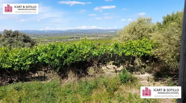 Castellon - Vinaroz - 2222m2