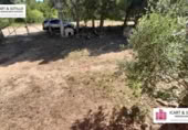 Xalet independent amb terreny en venda a la España, Vinaròs, ref.: TR245961 foto