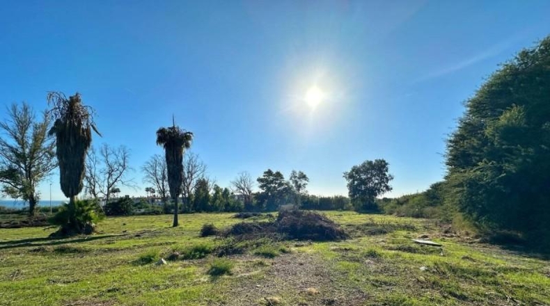 Málaga - Estepona - 8290m2