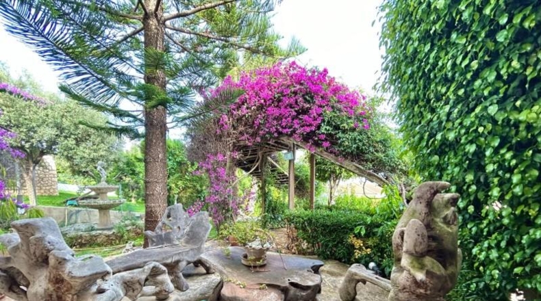Balearic Islands - Inca - 975m2