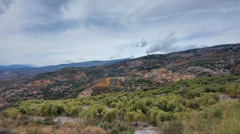 Granada - Ugíjar - 50000m2