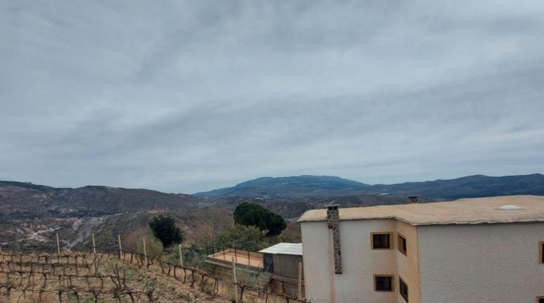 Granada - Ugíjar - 50000m2