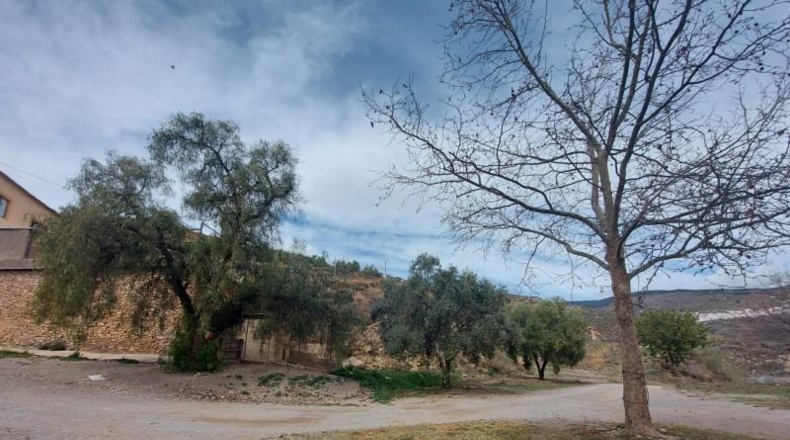 Granada - Ugíjar - 50000m2