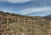 Chalet independiente con terreno en venta en la España, Ugíjar, ref: TR144531 foto