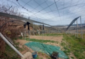 Chalet independiente con terreno en venta en la España, Ugíjar, ref: TR144531 foto
