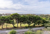 Chalet independiente con terreno en venta en la España, Huércal de Almería, ref: TR279916 foto
