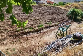 Raiguero de Bonanza 4000&nbsp;m²