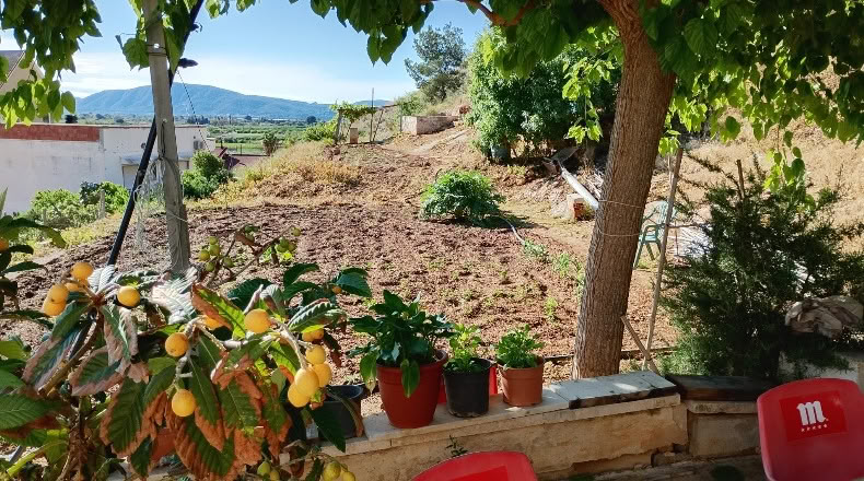 Alicante - Raiguero de Bonanza - 4000m2