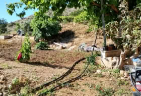 Raiguero de Bonanza 4000&nbsp;m²