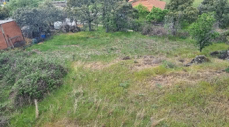 Community of Madrid - El Vellón - 1000m2