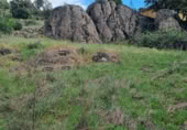 Terreny no urbanitzable en venda a la Calle Acarreadores N4, El Vellón, ref.: TR408347 foto