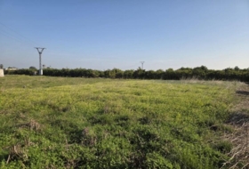 Rafelcofer 591&nbsp;m² 