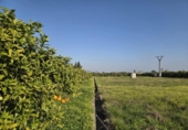 Terreno no urbanizable en venta en la España, Rafelcofer, ref: TR403765 foto