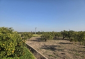 Terreno no urbanizable en venta en la España, Rafelcofer, ref: TR403765 foto