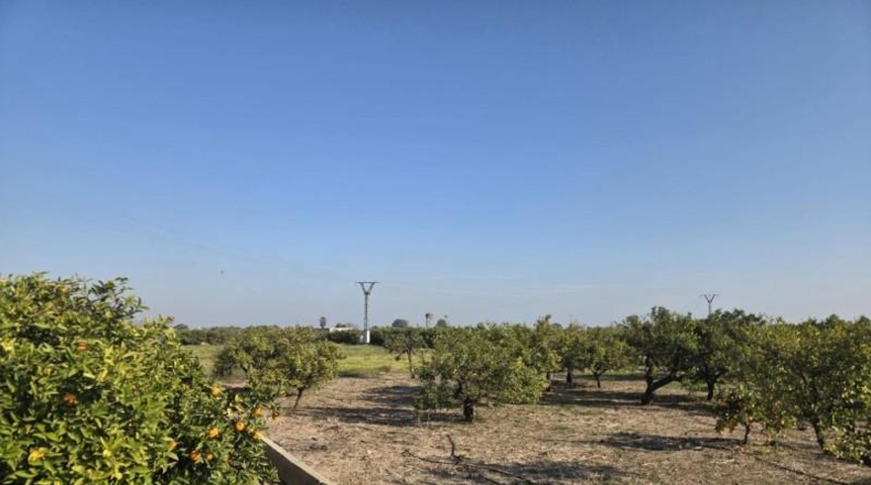 Valencia - Rafelcofer - 591m2