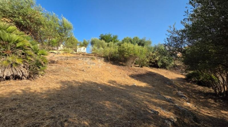 Córdoba - Almodóvar del Río - 1276m2