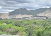 Xalet independent amb terreny en venda a la España, l'Atzúbia, ref.: TR360446 foto