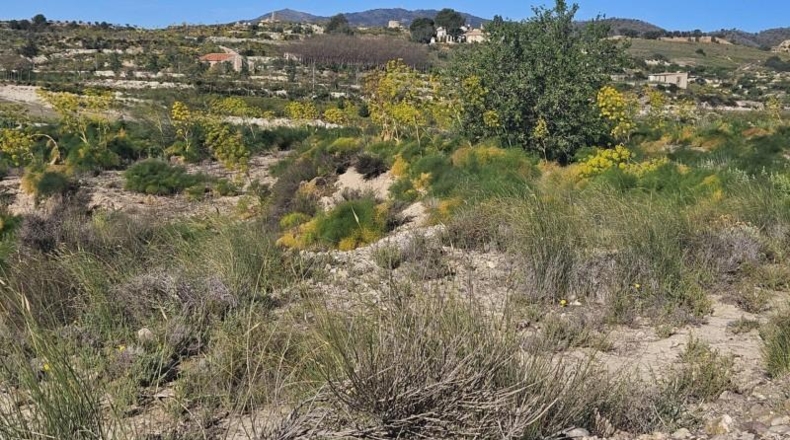 Murcia - Murcia - 6708m2