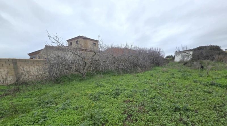 Cádiz - Chiclana de la Frontera - 983m2