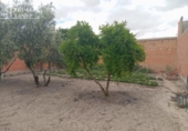 Sòl urbà en venda a la España, Argamasilla de Alba, ref.: TR408354 foto